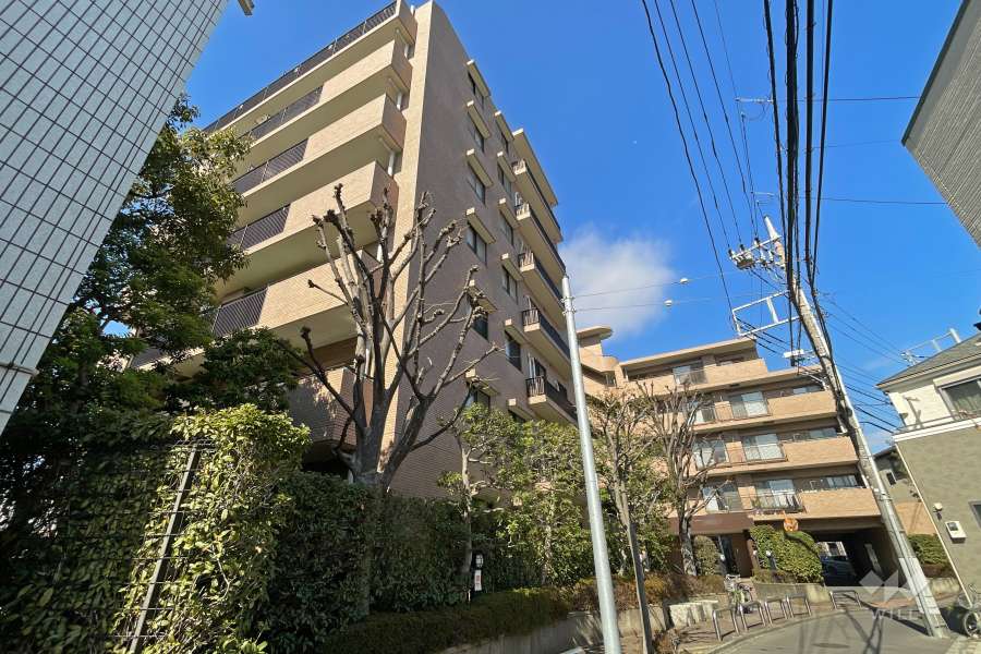 竹の塚パークホームズの外観（南側から）