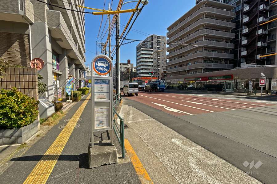 敷地南側の前面道路（西側から）