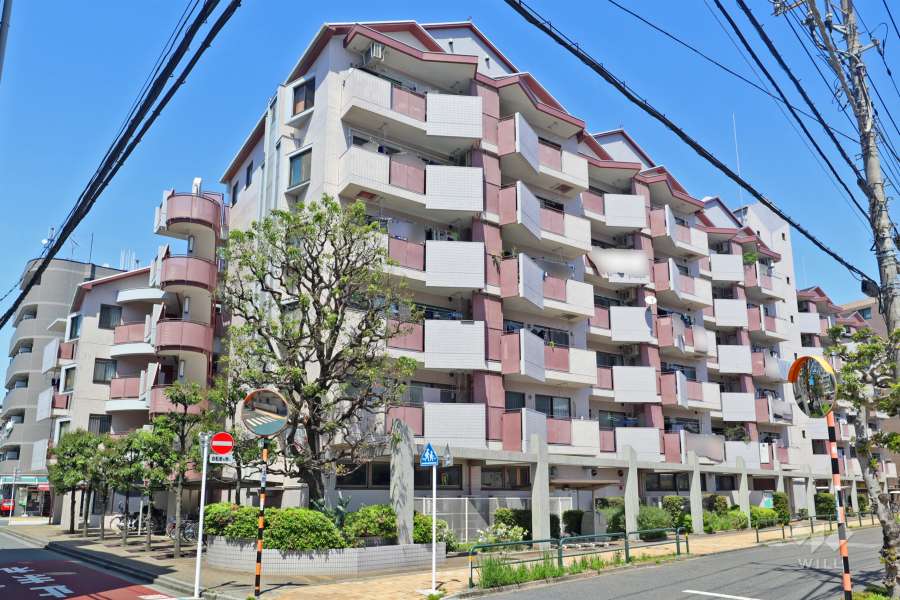 リプル綾瀬の外観（南西側から）