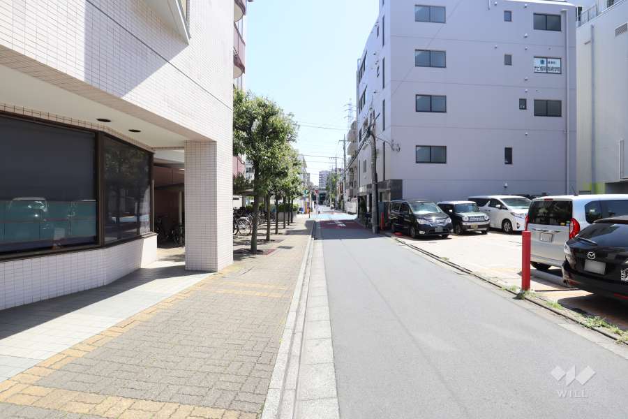 敷地の西側道路（北側から）