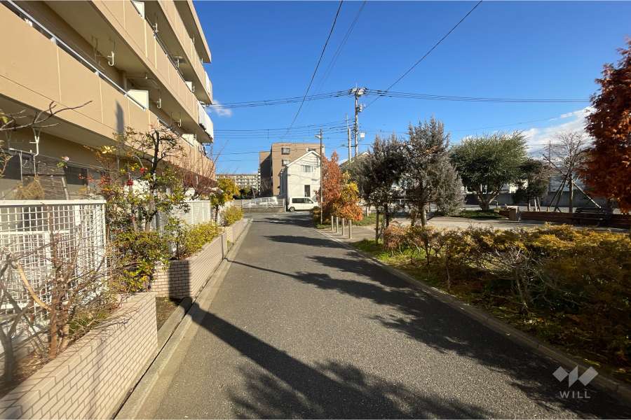 敷地南東側の前面道路（南西側から）