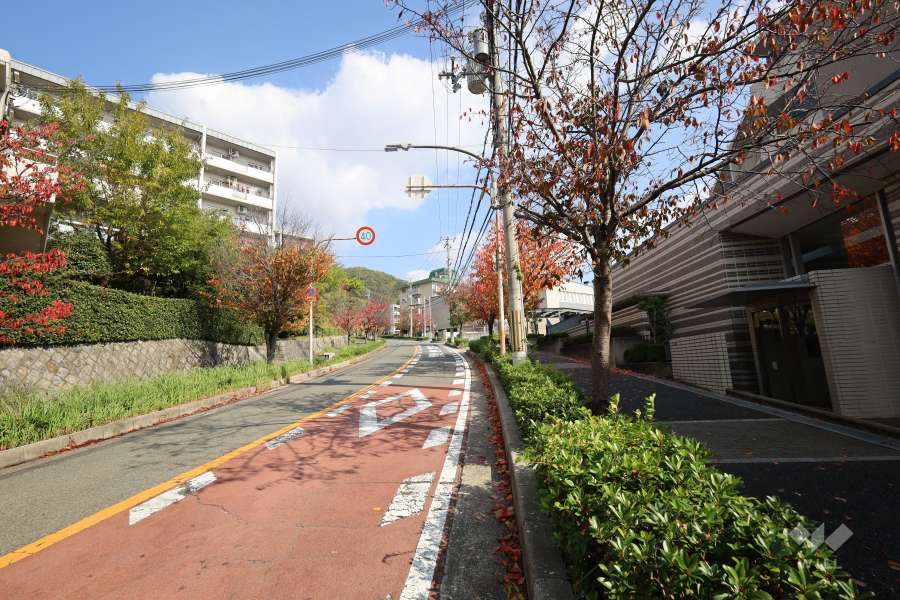 敷地西側の前面道路（南側から）