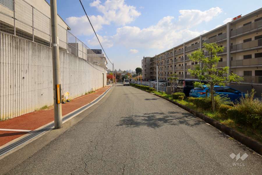 敷地北側の前面道路（西側から）