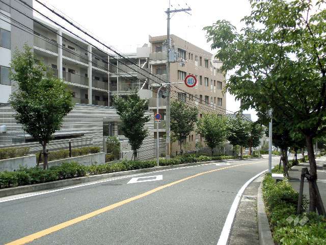 敷地西側の前面道路。街路樹のきれいなバス通りです。