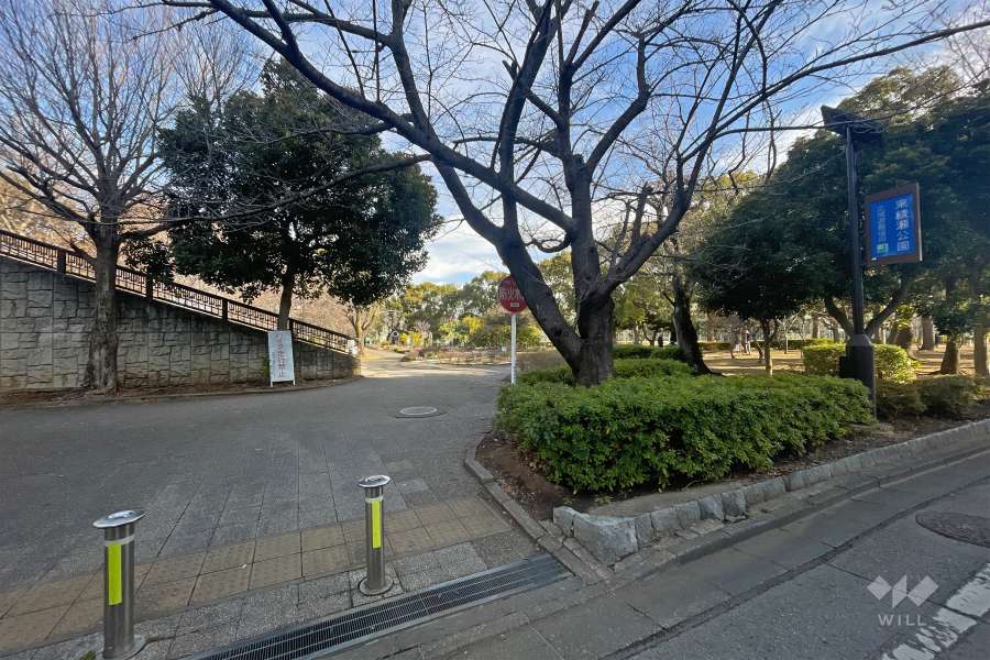 敷地に北側に隣接する『東綾瀬公園』