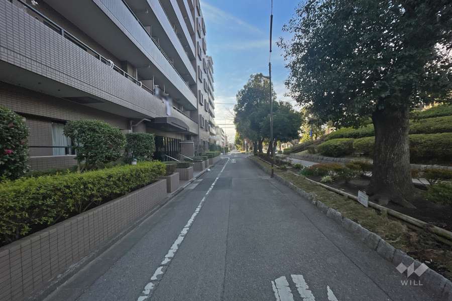 敷地西側の前面道路（北側から）