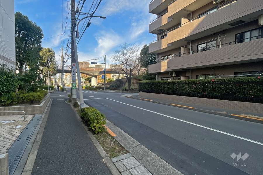 敷地南側の前面道路（東側から）