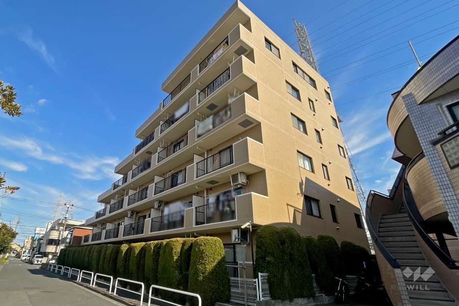 グローリア初穂綾瀬の外観（南西側から）