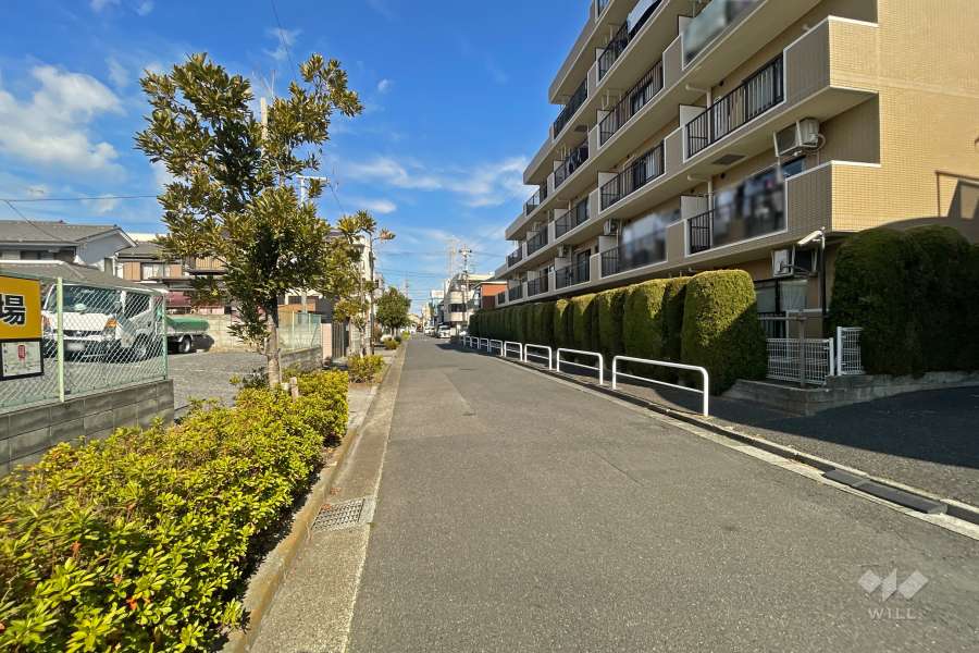 敷地西側の前面道路（南側から）