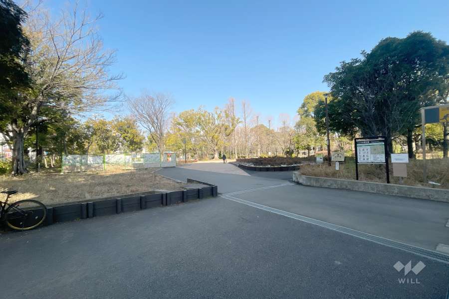 敷地に隣接したしょうぶ沼公園