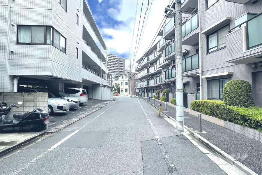 敷地の南側前面道路（東側から）