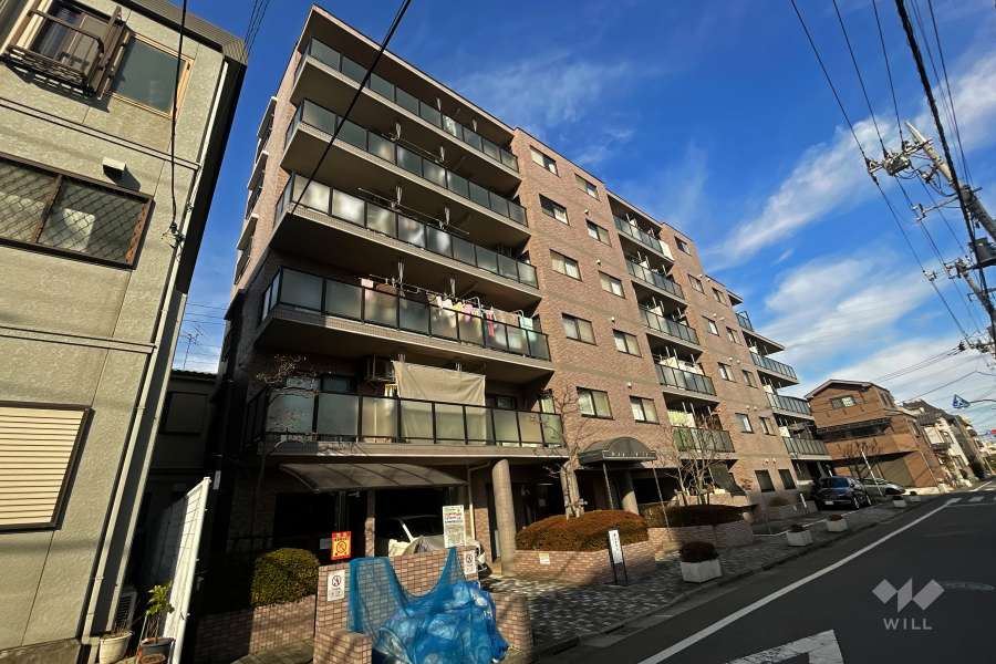 ダイアパレス東綾瀬の外観（南東側から）