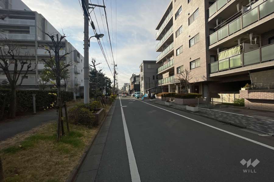 敷地東側の前面道路（北側から）
