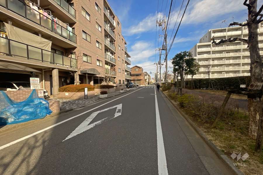 敷地東側の前面道路（南側から）