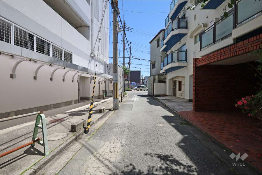 敷地北側の前面道路