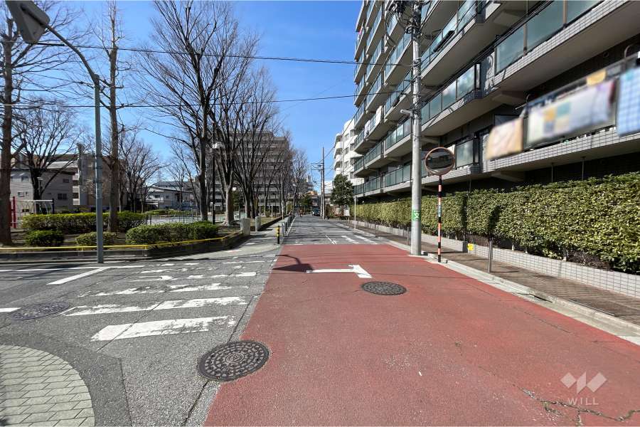 敷地南西側の前面道路（南東側から）