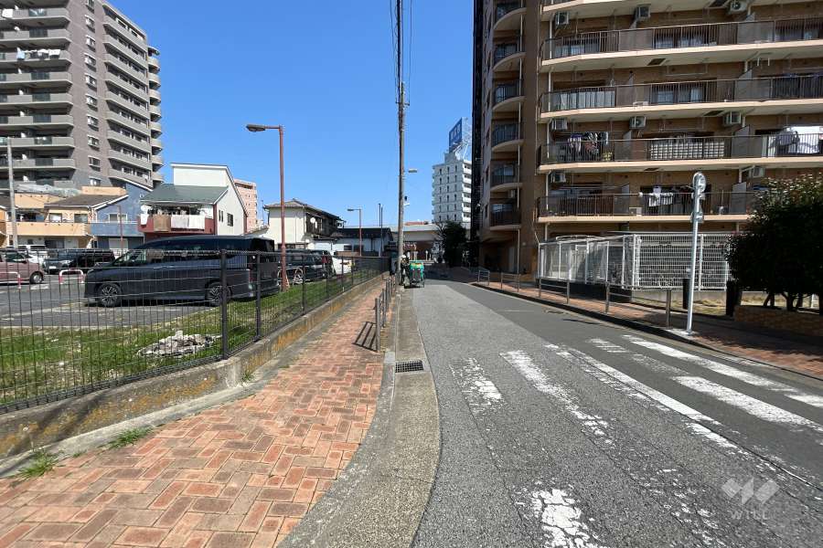 敷地の西側前面道路（北側から）