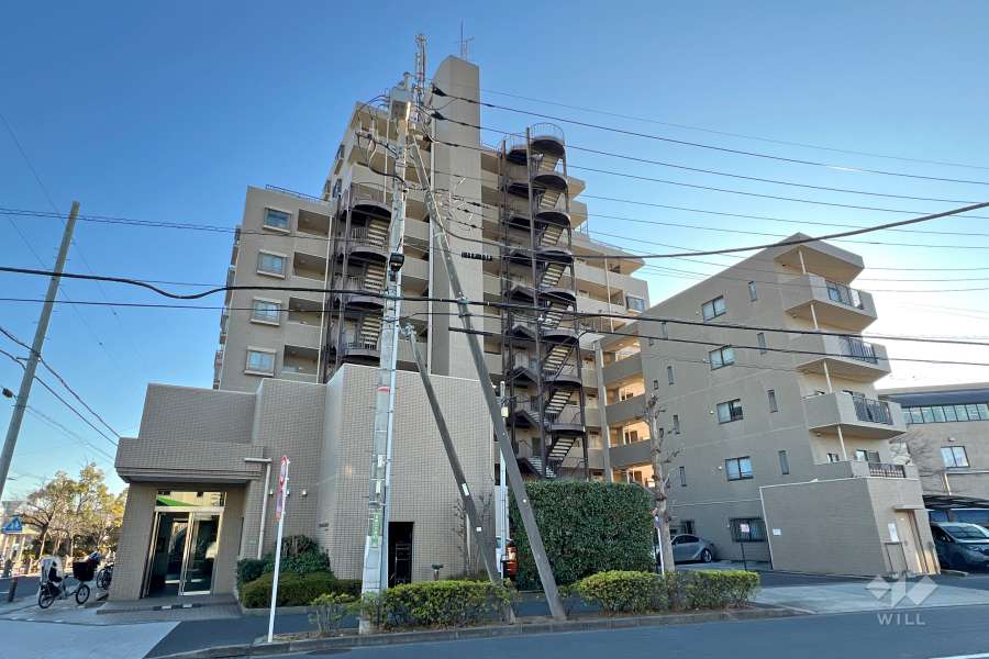 ハイホーム亀有の外観（北側から）