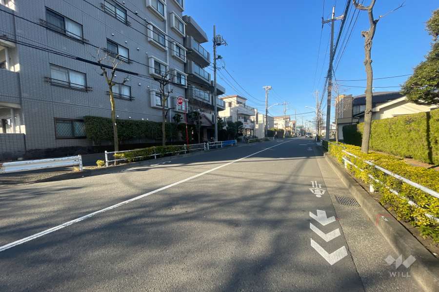 敷地東側の前面道路（南側から）