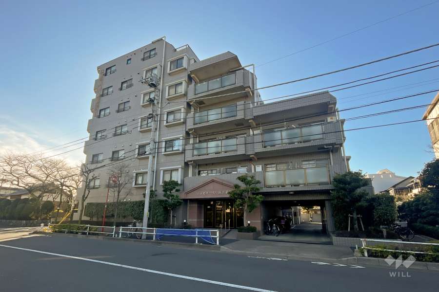 エンゼルハイム鹿浜第8の外観（東側から）