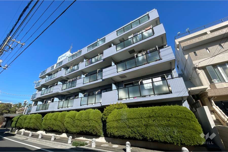 セザール第三竹ノ塚の外観（南東側から）