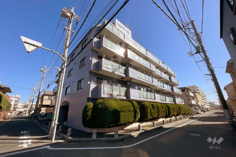 セザール第三竹ノ塚の外観（南西側から）