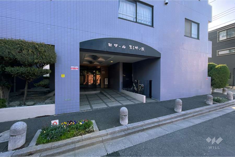 エントランスアプローチ