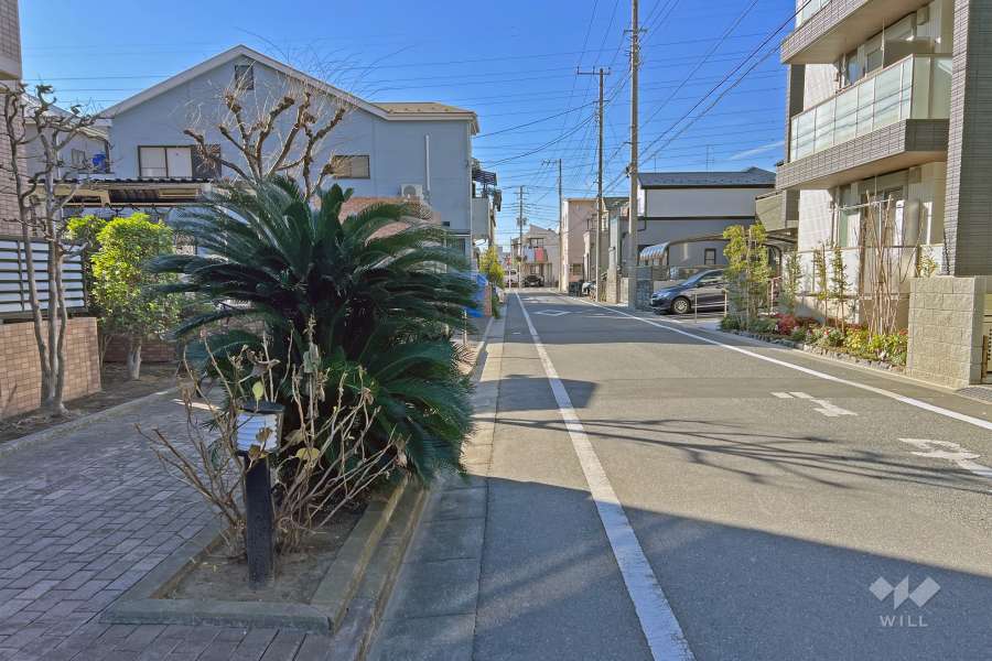 敷地の北側前面道路（東側から）