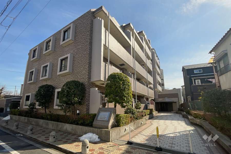 レクセルマンション西新井の外観（北西側から）