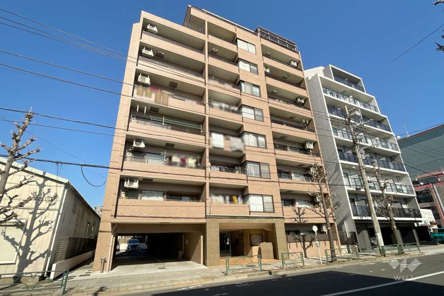 ルイシャトレ綾瀬の外観（南西側から）