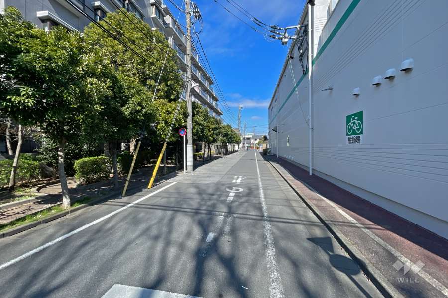 敷地東側の前面道路（南側から）
