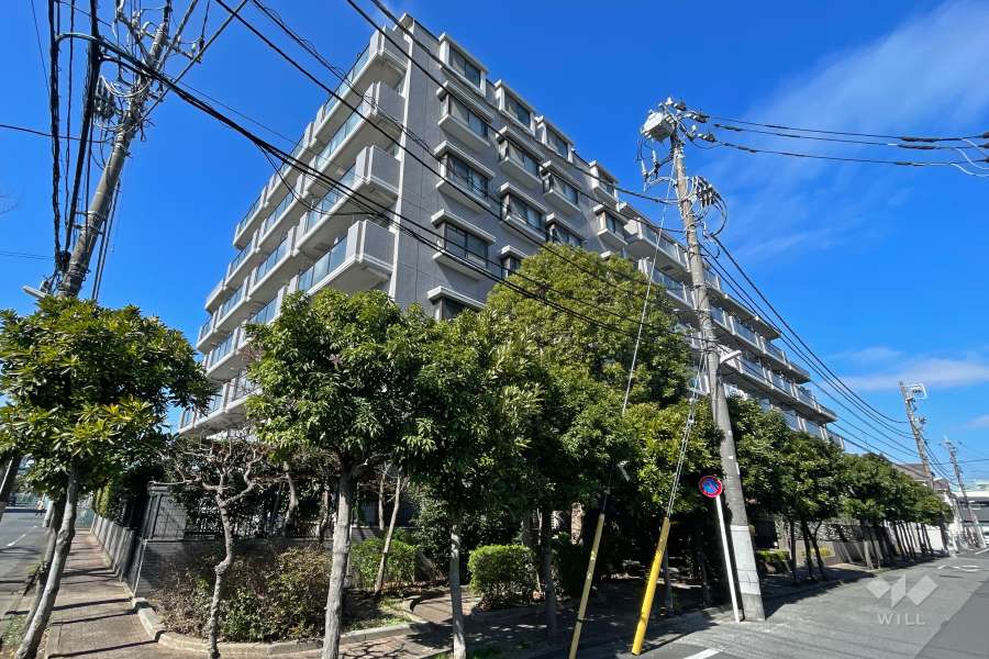 エンゼルハイム竹の塚第5の外観（南東側から）