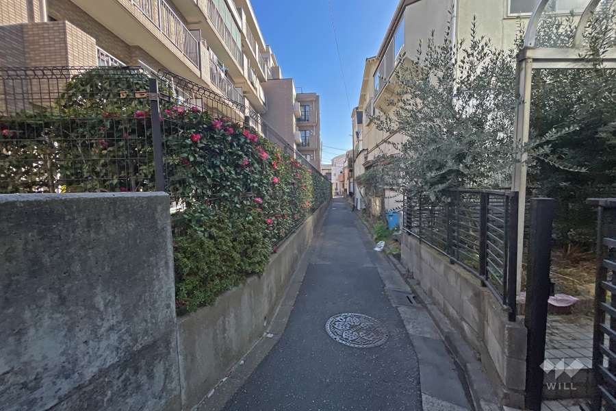 敷地の西側前面道路（北側から）