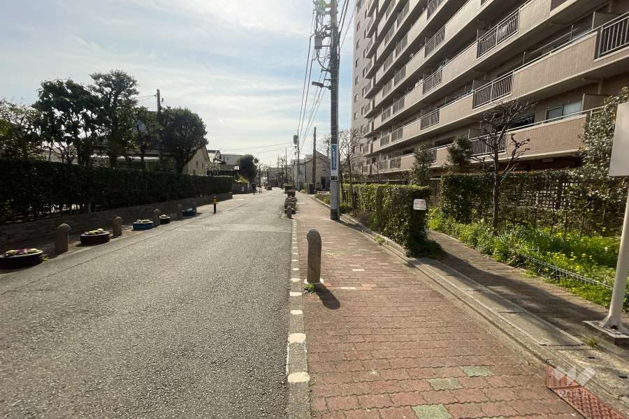 敷地東側の前面道路（北側から）