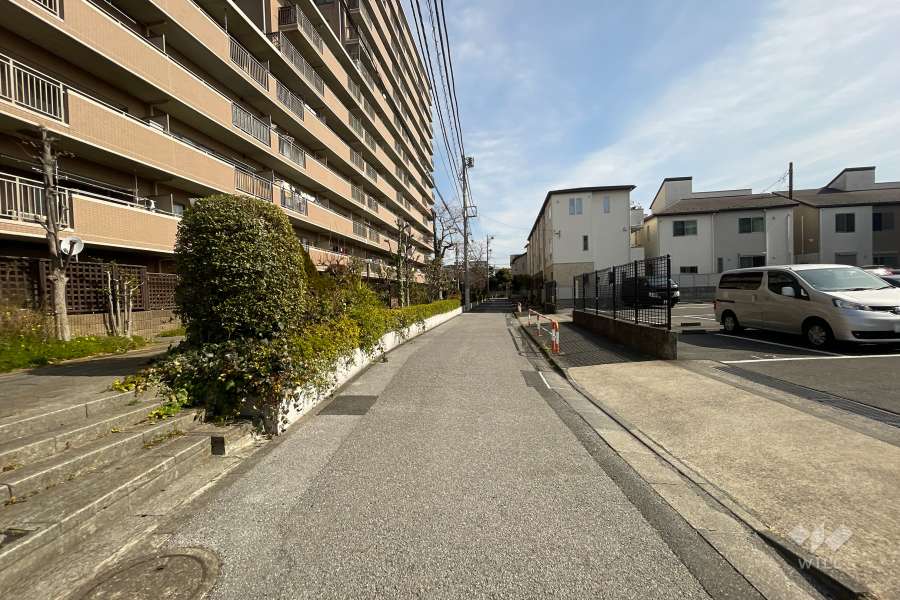 敷地南側の前面道路（西側から）