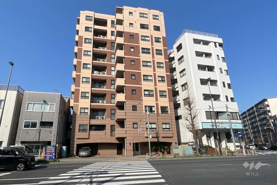 ジェイパーク梅島の外観（東側から）　