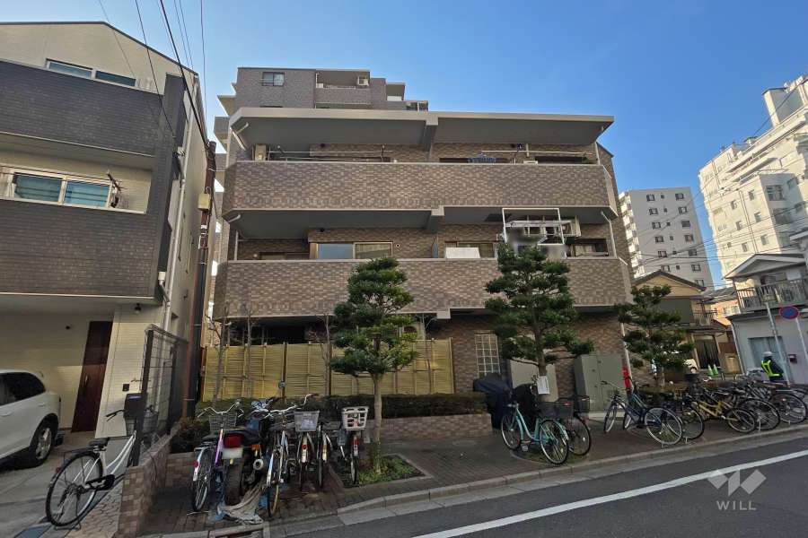 ダイアパレス亀有公園通りの外観（東側から）