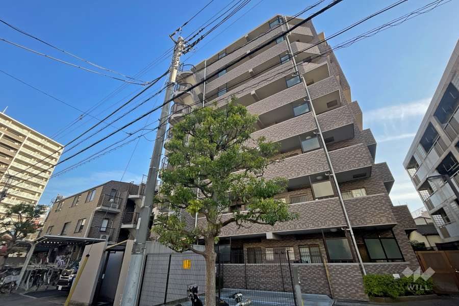 ダイアパレス亀有公園通りの外観（北西側から）