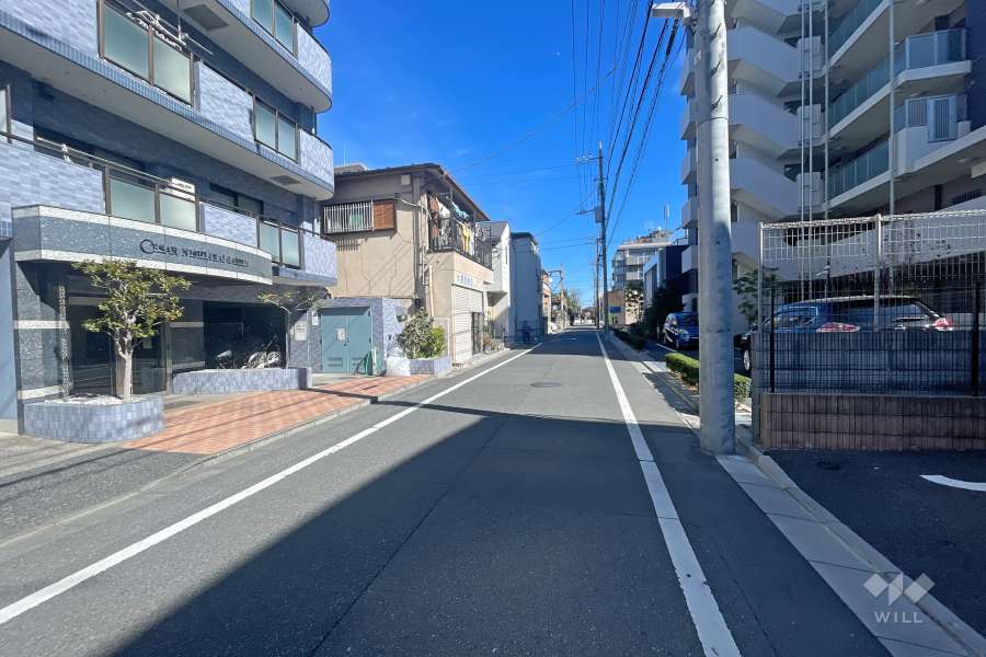 敷地南側の前面道路（西側から）
