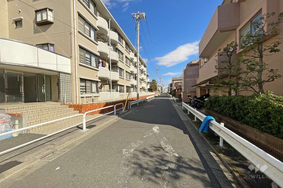 敷地南側の前面道路（西側から）