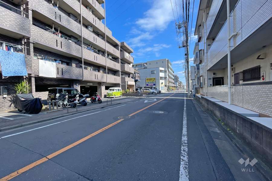 敷地南側の前面道路（西側から）