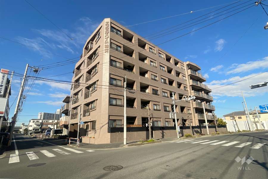 エンゼルハイム加賀の外観（南西側から）