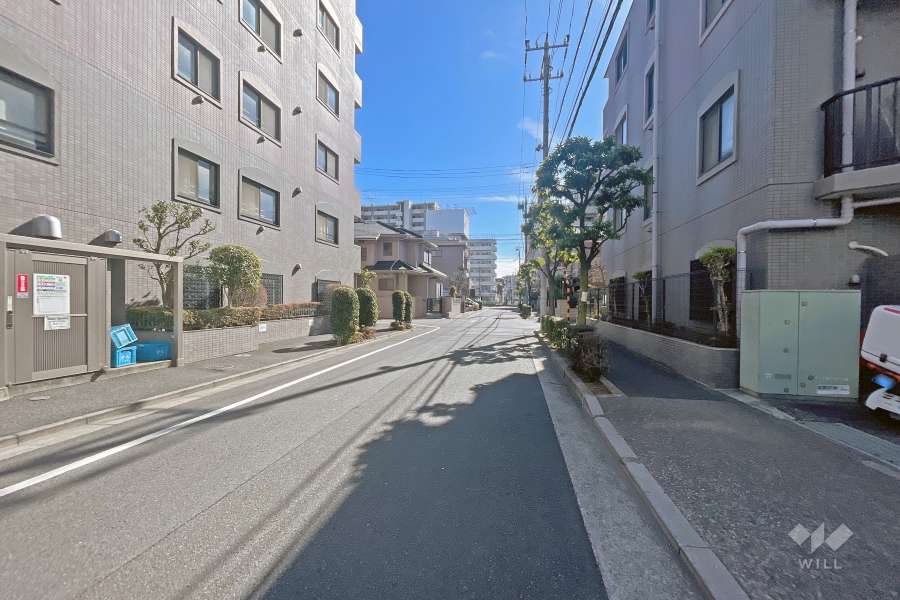 敷地の東側道路（北側から）