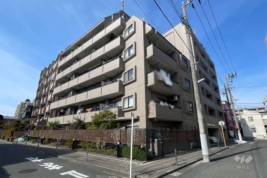 ナイスアーバン五反野の外観（南東側から）