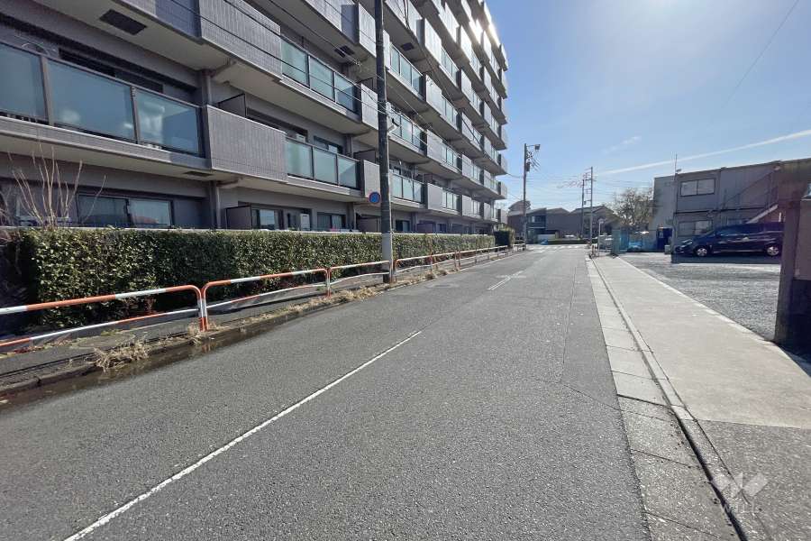 敷地南側の前面道路（西側から）