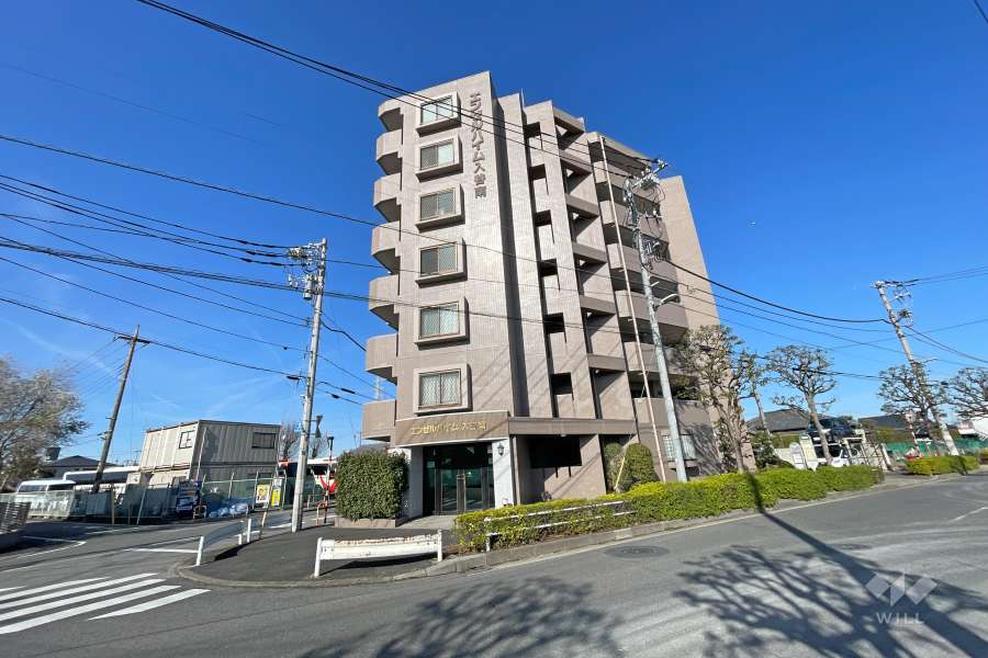 エンゼルハイム入谷南の外観（南東側から）