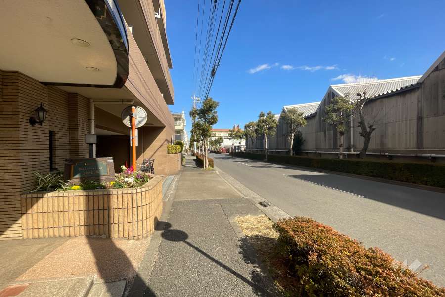 敷地東側の前面道路（南側から）