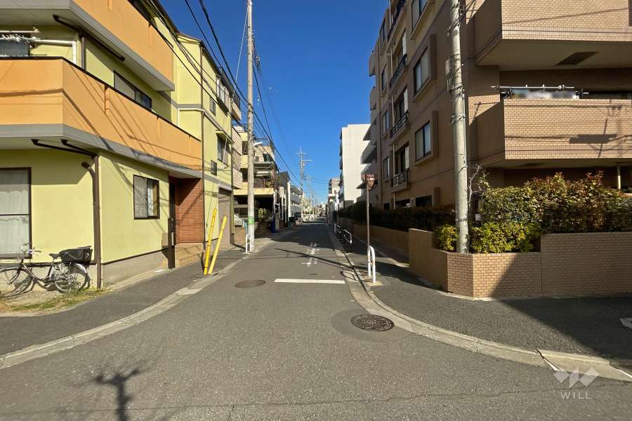 敷地西側の前面道路（南側から）