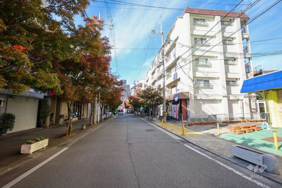 敷地南側の前面道路（東側から）