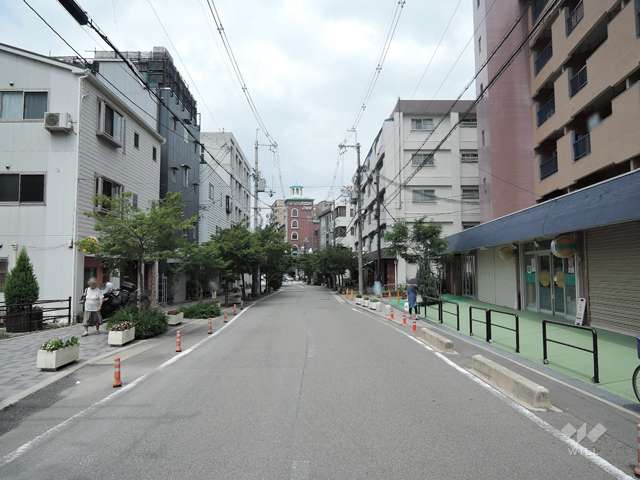 敷地の前面道路（東側から）